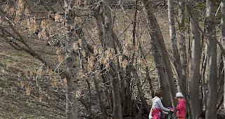 Clean-up-Day: Sch&uuml;ler engagieren sich f&uuml;r ein nachhaltiges Leukerbad.