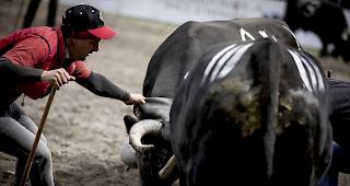 Impressionen aus Aproz