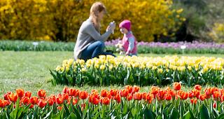 &laquo;Die Gesundheit der &Ouml;kosysteme verschlechtert sich schneller als je zuvor&raquo;, warnen Uno-Experten. (Symbolbild)