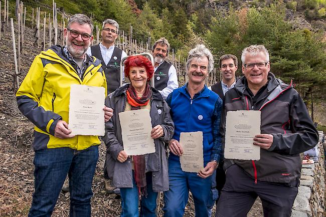 Daniel Roten, Franziska Sigrist-Studer, Heinz Horisberger und Markus Aeschbach (vordere Reihe, von links) mit Edgar Zimmermann, Georges Andenmatten und Michael Gottsponer (hintere Reihe, von links).