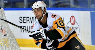 Der 25-j&auml;hrige kanadischen St&uuml;rmer Troy Josephs spielt kommende Saison beim EHC Visp.