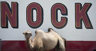 Der Circus Nock gibt nach 158 Jahren auf.