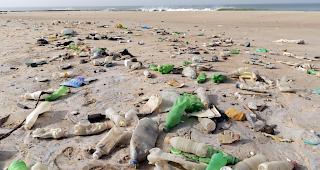 Uno warnt: Bereits im Jahr 2050 k&ouml;nnte in den Weltmeeren mehr Plastik treiben als Fische darin schwimmen.  