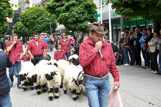 Impressionen des Vifra-Umzugs 2019.