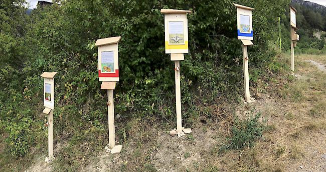 Den Kindern gefällts hier besonders: Die Schmetterlings-Ecke auf dem EGGUWEG.