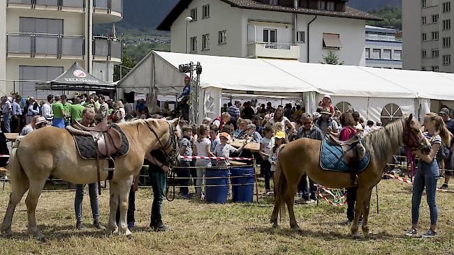 58. Walliser Bergführerfest in Naters.