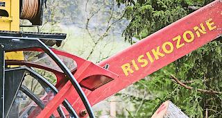 Gef&auml;hrliche Arbeit. Maik Huber vom Forst Aletsch bei den Aufr&auml;umarbeiten.