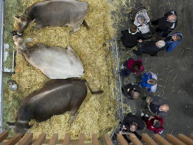 Organisation. Trotz der Tendenz zu grösseren Betrieben werden drei Viertel der Schweizer Bauernhöfe traditionell als Familienunternehmen geführt. 