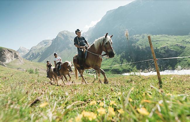 Unter der IG Agrotourismus haben sich die Übernachtungs- und Erlebnisangebote gebündelt und das Portfolio mit Angeboten wie Pferdetrekking, Schafscheren oder Wässern ergänzt.