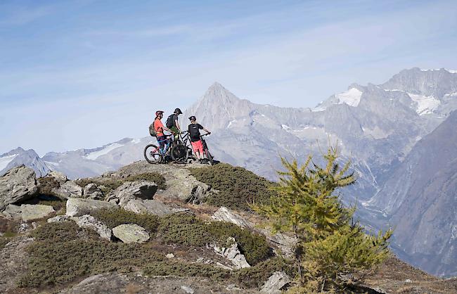 Mit der Homologation von zusätzlichen 240 km Trail kann die Region Visp-Grächen ein Netz von 310 km Trails präsentieren.