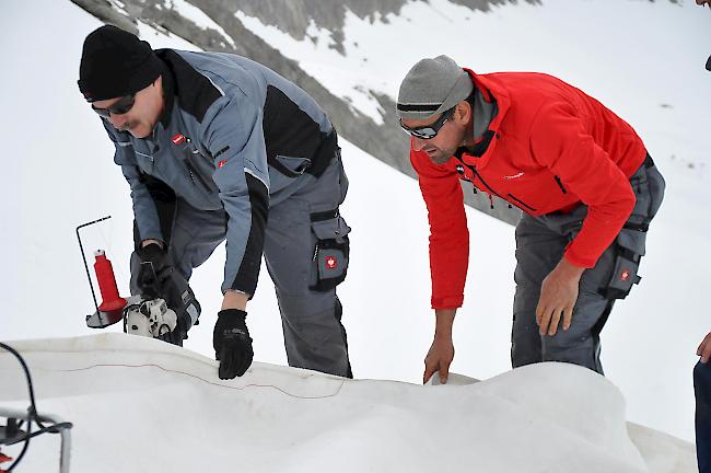 Dass es hält. Anton Ott, technischer Leiter Belalp Bahnen (links), beim Vernähen der Vliese auf dem Hohstock.