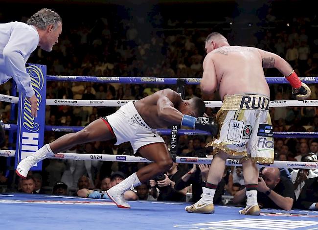 Andy Ruiz junior hat für eine der grössten Überraschungen in der Geschichte des Schwergewichts-Boxens gesorgt.