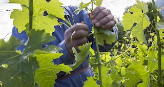 Zahl der Verzeigungen liegt gemessen an den vorgenommenen Kontrollen bei 1,4 Prozent. Ergebnisse insgesamt mit der Kontrollt&auml;tigkeit des Vorjahres vergleichbar.