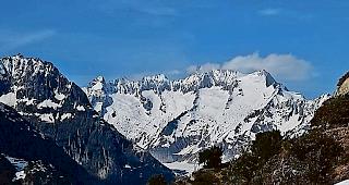 Tatzenspuren. Der Braunb&auml;r auf der  Riederalp hinterliess seine Spuren  im Schnee.Foto DJFW