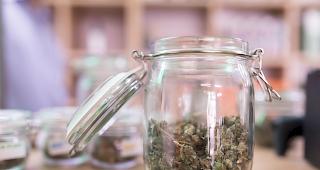 Sogenanntes Medizinalcannabis. Der Bundesrat will den Zugang zum Cannabis erleichtern, indem die behandelnden &Auml;rzte dieses direkt verschreiben k&ouml;nnen.