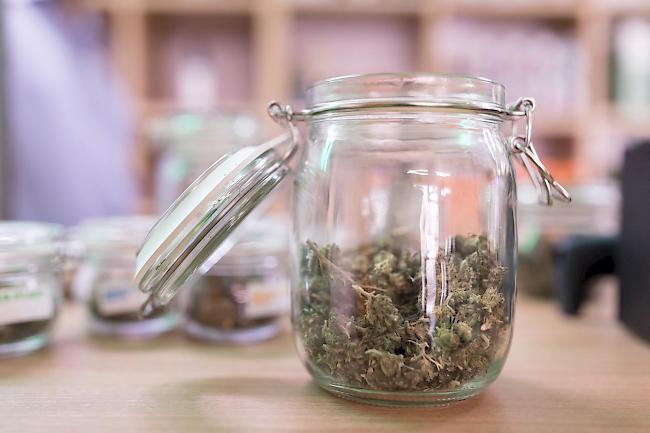 Sogenanntes Medizinalcannabis. Der Bundesrat will den Zugang zum Cannabis erleichtern, indem die behandelnden Ärzte dieses direkt verschreiben können.