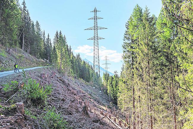 Bauarbeiten. Die Leitung zwischen Ernen und Ulrichen wird derzeit erstellt (Bild), nun wurde der Abschnitt weit bis Mörel bewilligt.