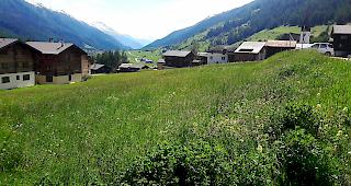 In M&uuml;nster soll ein neues Gesundheitszentrum entstehen.