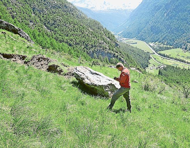 Kantonsgeologe Raphael Mayoraz beäugt den 8-Tonnen-Gesteinsbrocken, der wenige Hundert Meter oberhalb von Randa zum Stillstand kam.