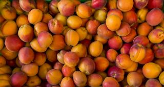 Die rund 150 Walliser Produzenten produzieren mit fast 700 Hektar 97 Prozent der Schweizer Aprikosen.