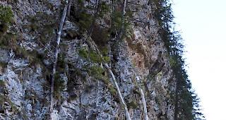 Die Versorgungsrohre konnten nicht gem&auml;ss Bewilligung verlegt werden und m&uuml;ssen deshalb abmontiert werden.