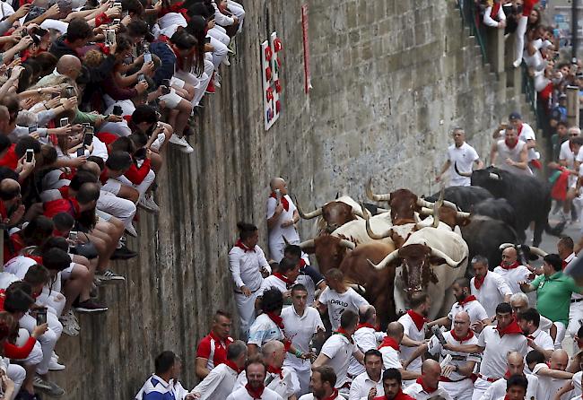 Die alljährlichen Stiertreiben in Pamplona sind bei Tierschützern höchst umstritten.