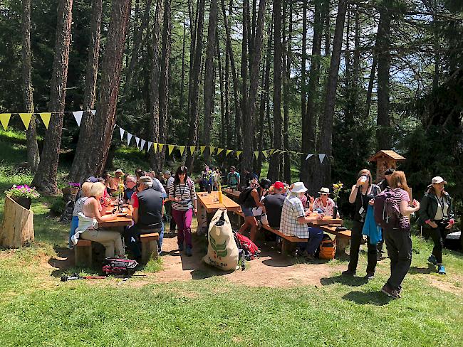 Impressionen von der ersten Musikalischen Genusswanderung in Gampel-Bratsch. Das Konzept fand beim Publikum grossen Anklang. 