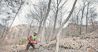 Intensiv. Die Forstbetriebe waren im vergangenen Jahr stark gefordert.