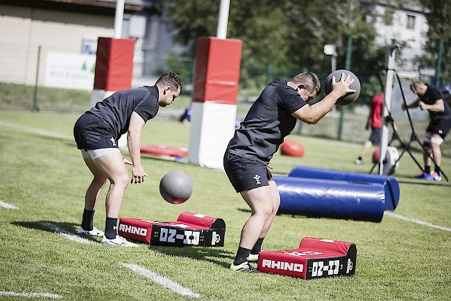 Krafttraining. Schwitzen für die kommende WM, die im September in Japan stattfindet.