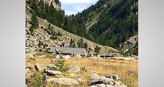 Lange Jahre genossen Staldner Bauern die Gastfreundschaft von Simplon Dorf. Hierf&uuml;r bedankt sich Stalden am Sonntag an der Heimattagung in Simplon Dorf.