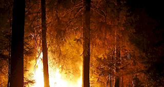 Viele Menschen leiden unter den gef&auml;hrlichen Rauchschwaden und klagen etwa &uuml;ber Atemnot und &Uuml;belkeit. (Symbolbild)