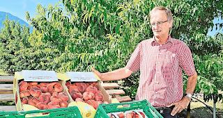 Pr&auml;sentation. Jacques Rossier, Chef des Amts f&uuml;r Obst- und Gem&uuml;sebau.