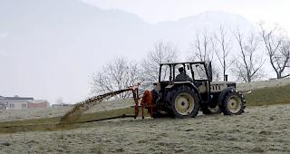 Nitratbelastung wegen &Uuml;berd&uuml;ngung: Regionale Projekte haben gezeigt, dass weniger Nitrat ins Grundwasser sickert, wenn der Boden im Winter in Ruhe gelassen wird. (Archivbild)