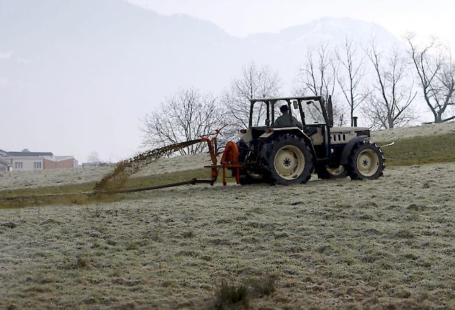 Nitratbelastung wegen Überdüngung: Regionale Projekte haben gezeigt, dass weniger Nitrat ins Grundwasser sickert, wenn der Boden im Winter in Ruhe gelassen wird. (Archivbild)