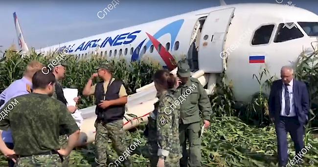 Der Airbus 321 steht in einem Maisfeld, mehr als einen Kilometer von der Landebahn entfernt.