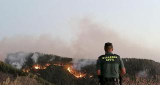 Mehr als 600 Helfer stehen auf Gran Canaria wegen eines Waldbrands im Einsatz. 