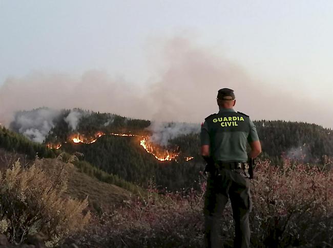 Mehr als 600 Helfer stehen auf Gran Canaria wegen eines Waldbrands im Einsatz. 