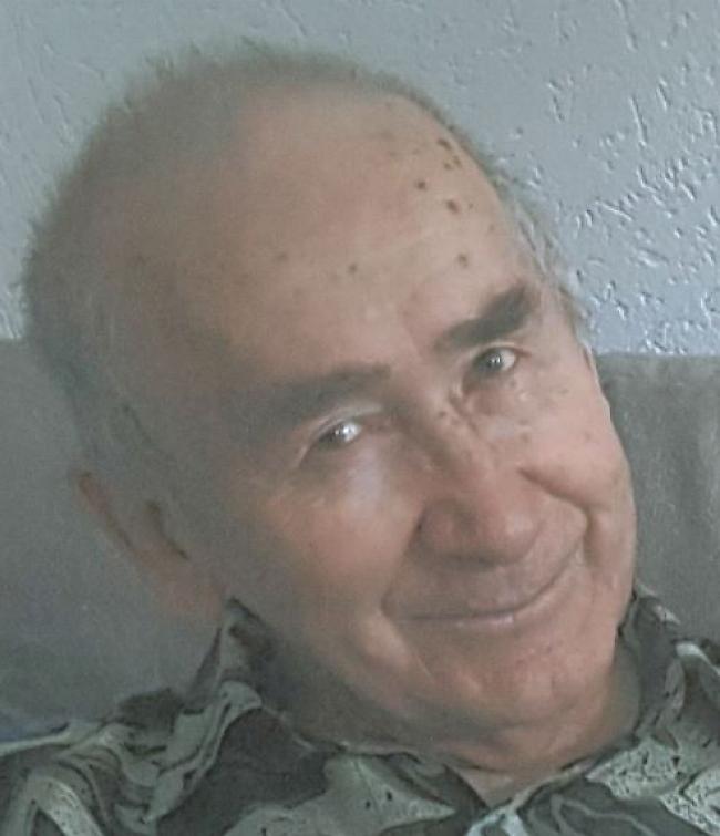 Georges L. (81) wird seit Montag in Monthey vermisst.