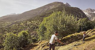 Die SAB traf sich am Donnerstag zur Generalversammlung in Les Diablerets VD. Sie will die Berglandwirtschaft st&auml;rken und fordert deshalb Korrekturen bei der Agrarpolitik 2022.