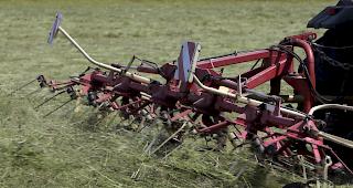 Der Mann war am Freitag mit M&auml;harbeiten in steilem Gel&auml;nde besch&auml;ftigt, als er t&ouml;dlich verungl&uuml;ckte. 