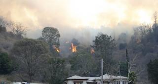 Wegen Buschfeuern im Osten Australiens m&uuml;ssen zahlreiche Menschen ihre H&auml;user verlassen. 