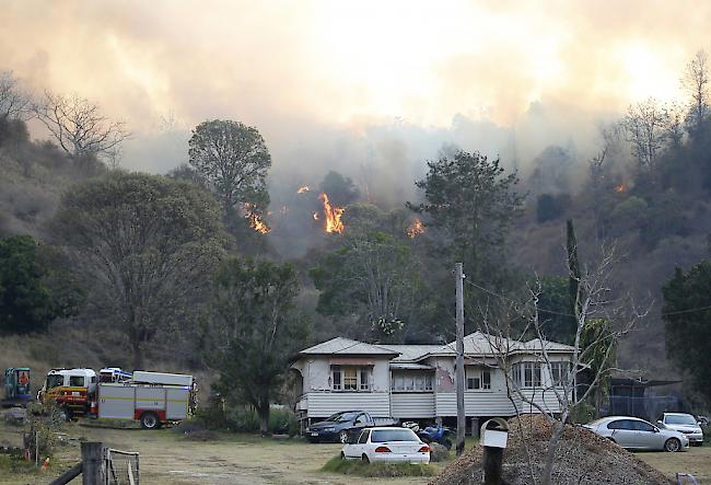 Wegen Buschfeuern im Osten Australiens müssen zahlreiche Menschen ihre Häuser verlassen.