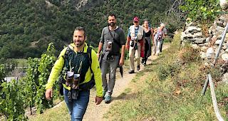 Wii-Grill-F&auml;scht 2019 in Visperterminen.