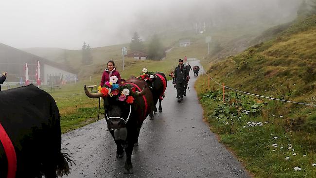 Alpabzug auf der Bettmeralp.