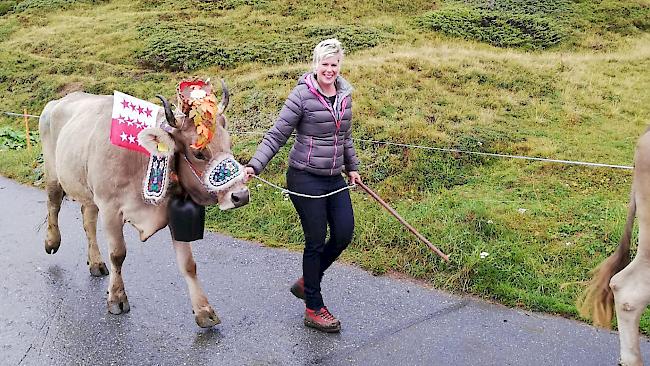 Die Kühe kamen am Sonntag von der Alp zurück. Dies geschah dieses Jahr früher als sonst. Grund: Schneemeldungen.