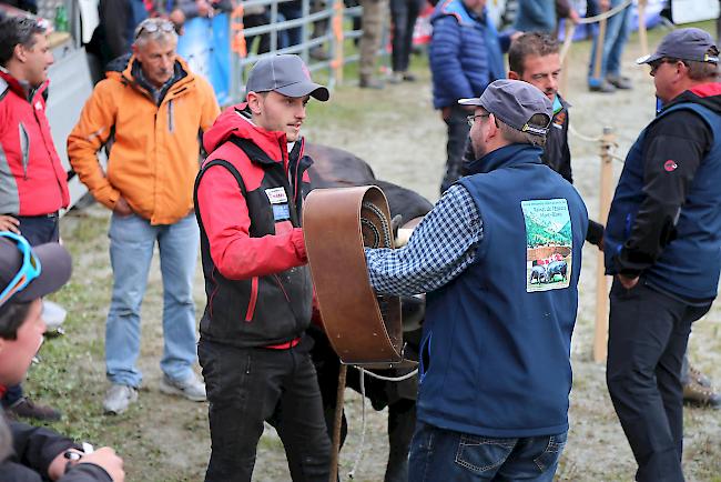 Ringkuhkampf «Reine Espace Mont-Blanc» in Les Haudères.