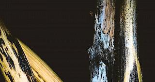 Gekonnt. Ein Werk von Jean Margelisch: Form und Struktur  setzen die Akzente.Foto Jean Margelisch