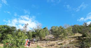 Am Mittwochmorgen ist oberhalb von Hohtenn ein kleinerer Brand ausgebrochen.