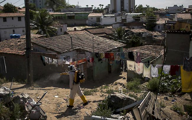 Mückenbekämpfung in Brasilien. (Archivbild)