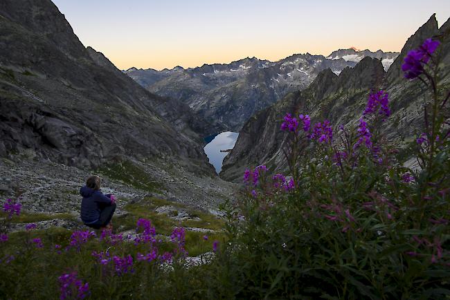 Mit dem Klimawandel wird sich der Boden im alpinen Raum verändern.